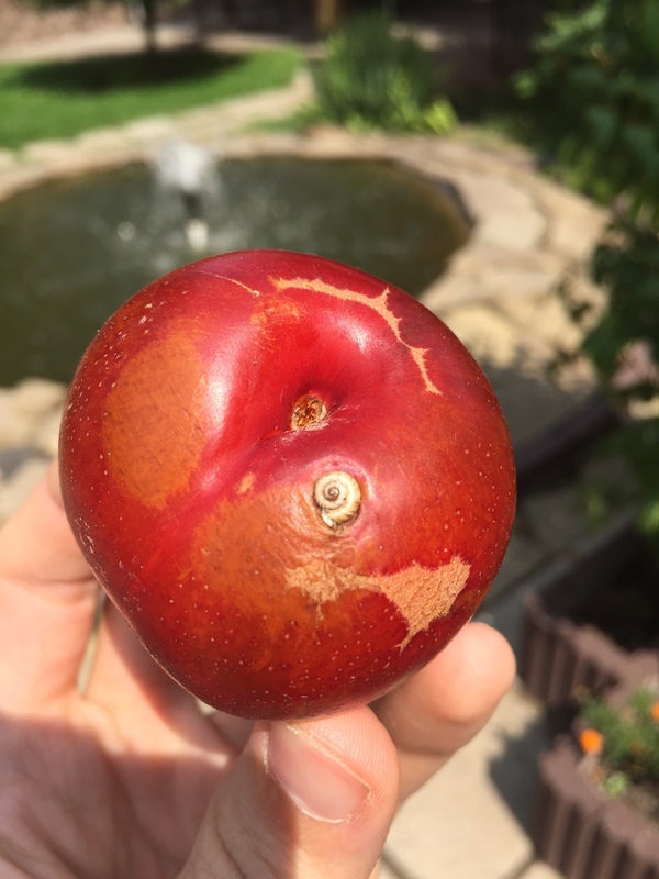 ����� � ������� ����� �����...