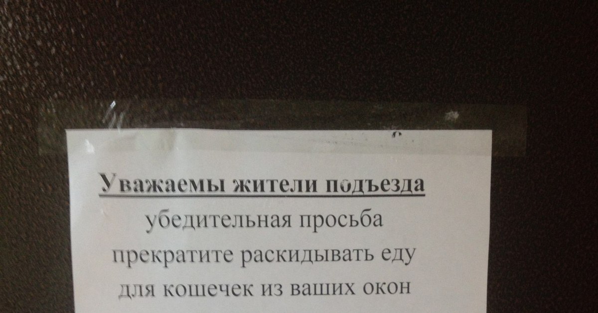 Уважаемые жильцы убедительная. Объявление чтобы не пускали кошек в подъезд. Объявление про кошек в подъезде. Не кормите животных в подъезде в подъезде. Объявление не кормить кошек в подъезде.