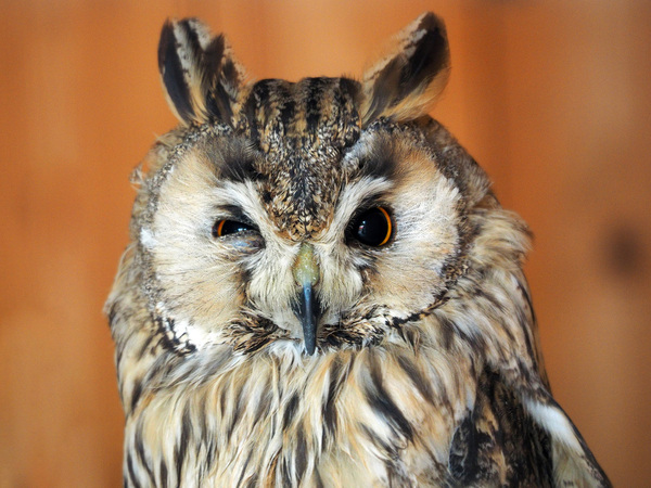 ���-�� �� �� ����� ����� �� ���������