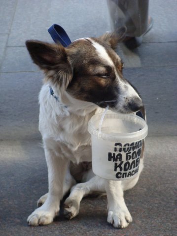 Однажды в Питере на Невском