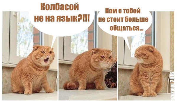   ,  -    ...