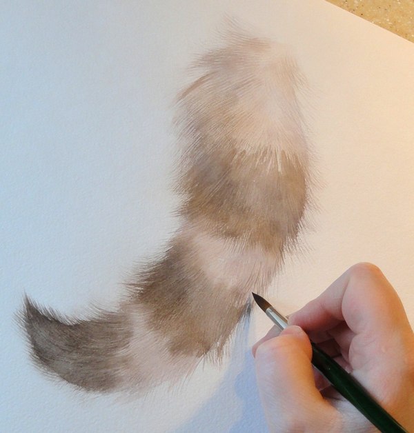 Как нарисовать шерсть животного акрилом