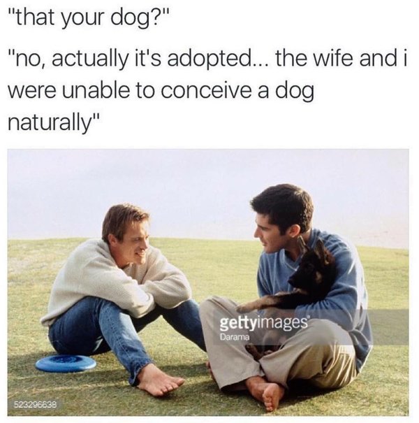 Главное, чтобы пес не узнал )