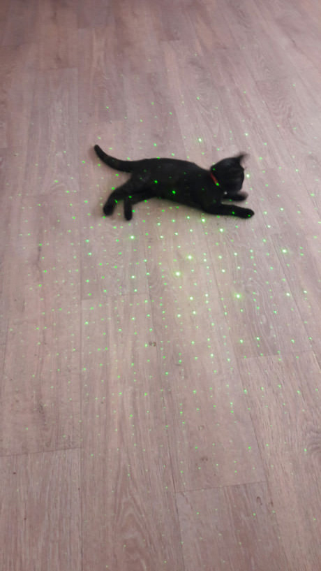 ������ �����