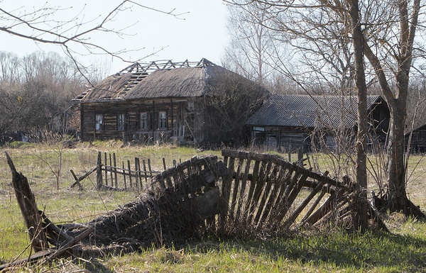 На Украине вместо Чернобыльской зоны отчуждения создадут заповедник