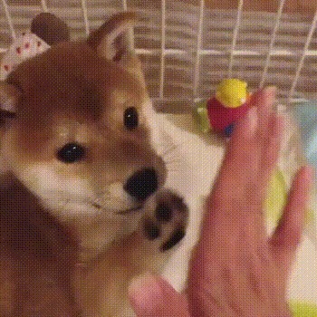  !