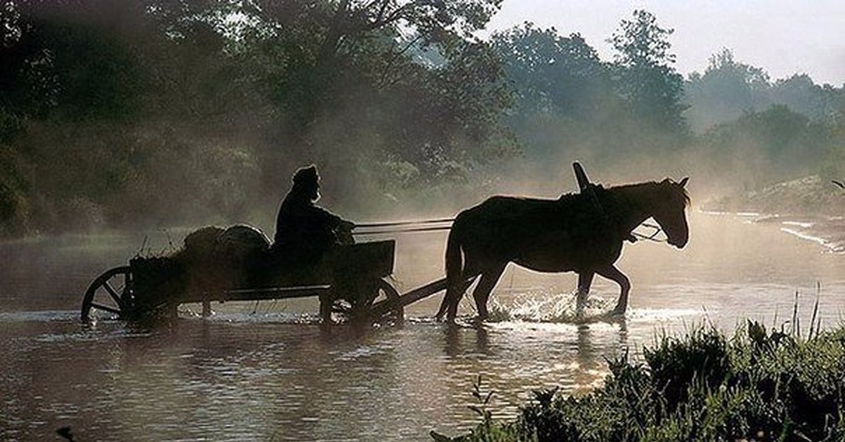 Река обоза. Телега в дождь. Повозка с черными лошадьми. Черная лошадь с телегой. Телега в болоте.