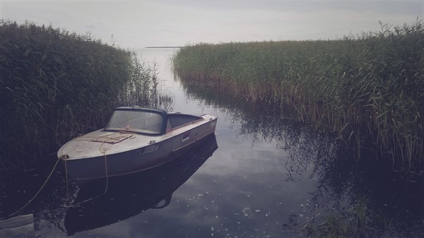 Чудское озеро. Деревня Подлипье.