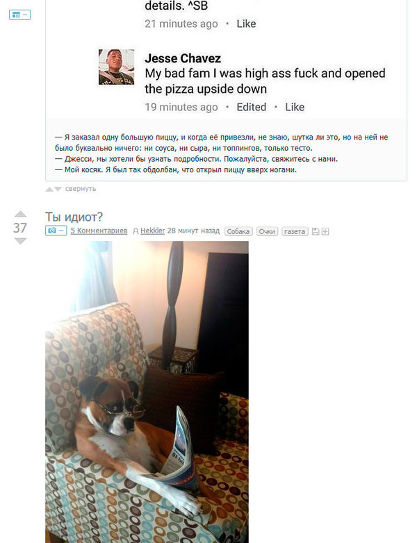 �������� ����������