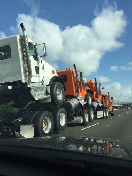 ��������-����������