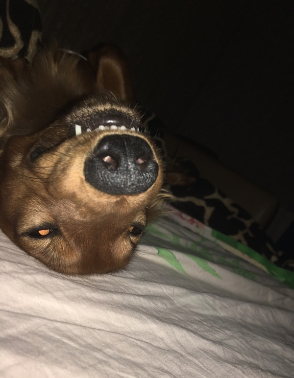 И вам спокойной ночи)