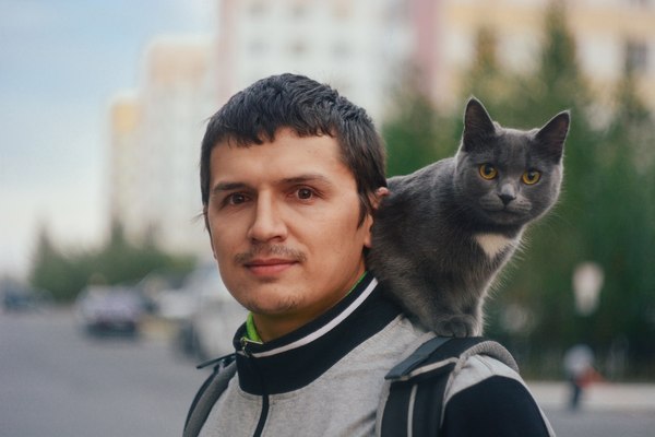 Pirate cat. - My, The photo, Helios44, Nikon, cat, New Urengoy