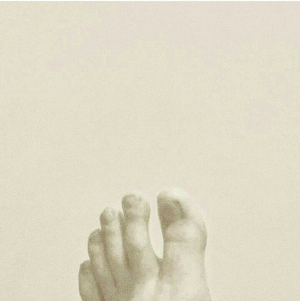 ������ ����, �������� ������.