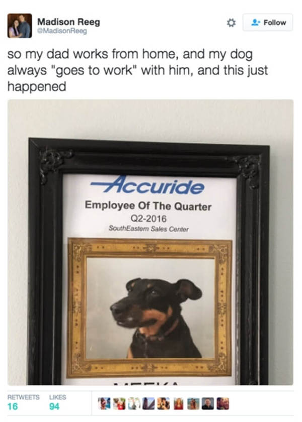 Лучший работник II квартала 2016 года