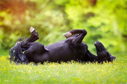 Мои планы на выходные выглядят примерно так