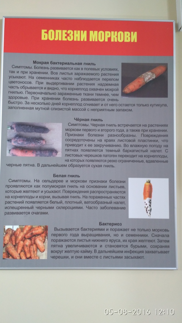 �� ��� ���� �� "���������" ��������...