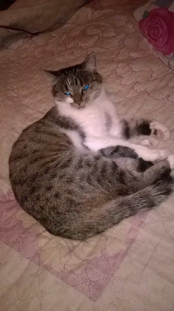 �������, ��� ����� ������������ � ������ ������