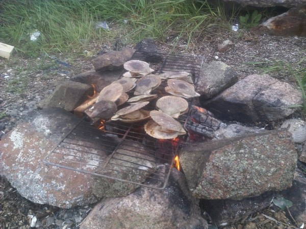 ������� �� ������������