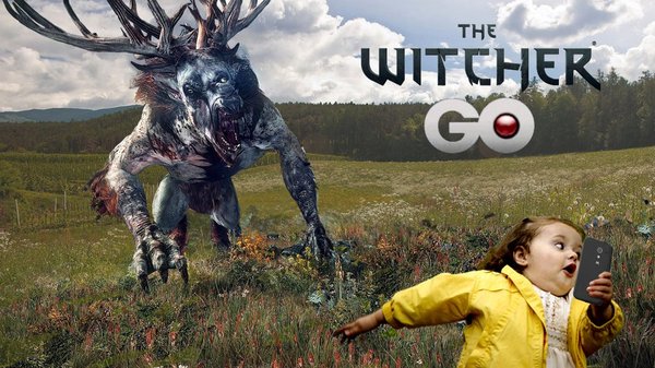 The Witcher Go