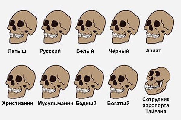 В Тайване сотрудники аэропорта оставили на жаре контейнеры с попугаями. В итоге погибло более тысячи птичек :(