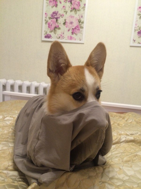 ����� ����� ����� �����.