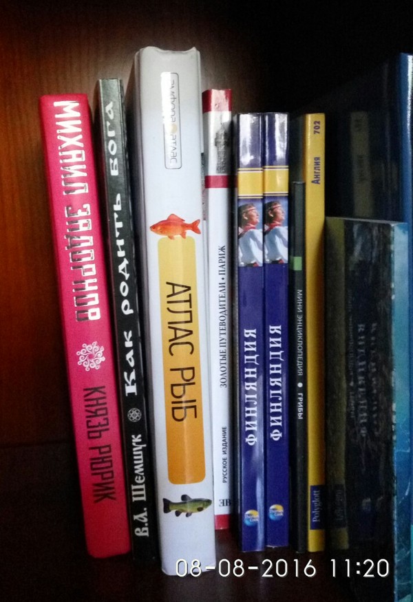 Внезапное соседство книг