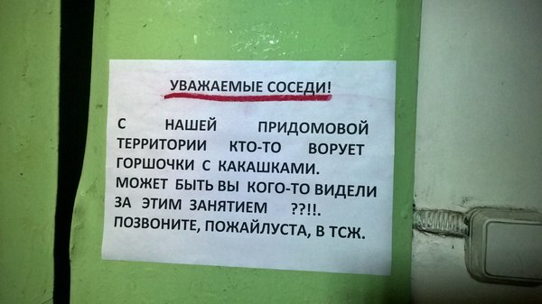 Показалось....хотя нет...
