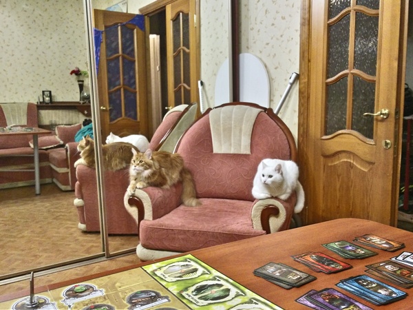 ПодлоКОТники