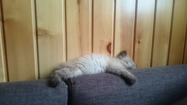 Случайные связи Встреча, Разлука, Длиннопост