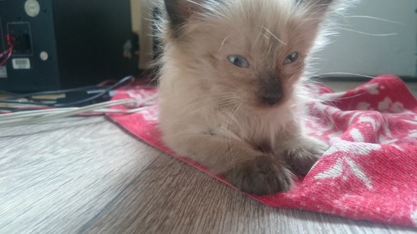 Случайные связи Встреча, Разлука, Длиннопост