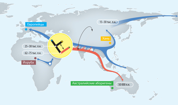  .      Homo sapiens?  , ,  , ,  , 