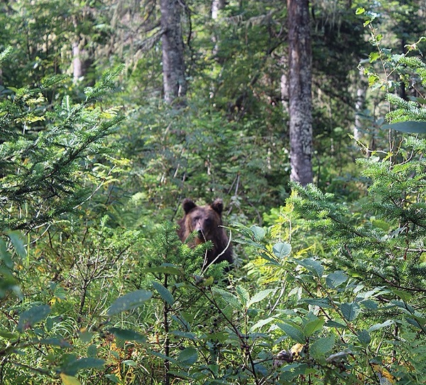 Кто-то за топор, а кто-то за фотоаппарат!!!