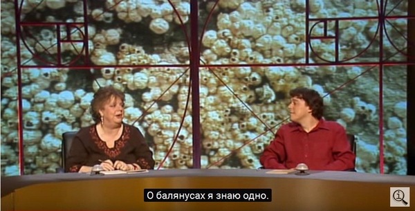 QI (Quite interesting) , , , , Quite interesting