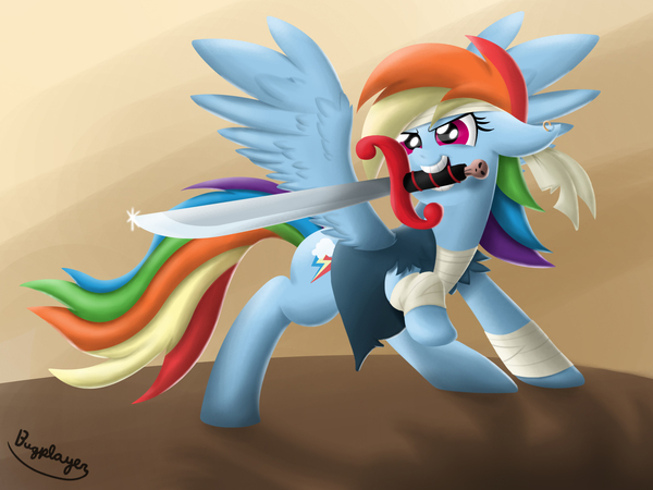 Pirate Rainbow Dash My Little Pony, , Rainbow Dash, Bugplayer
