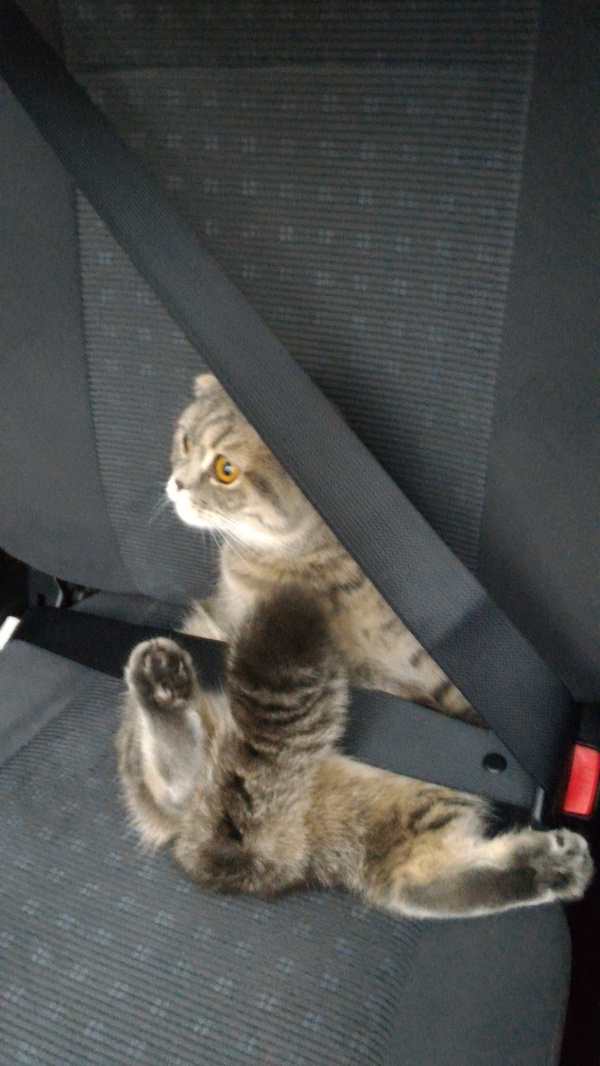 ������� � ����������