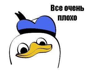 Мастер совета.