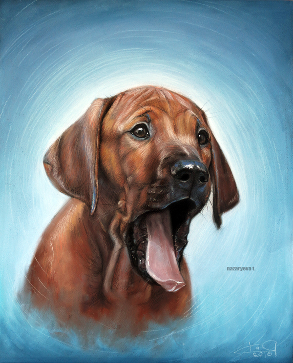 КАК? Уже пятница?