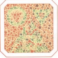 ��� � �������� ����������� �������� �� ��������� ������������ ����.