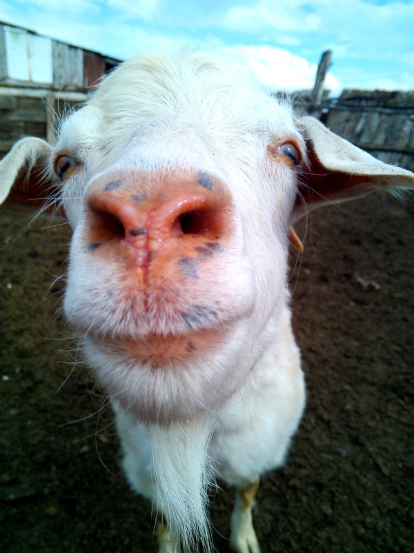 � ��� ��� �� ��� �������?�?