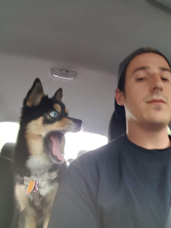 Куда ты едешь?! Остановись! Красный же!