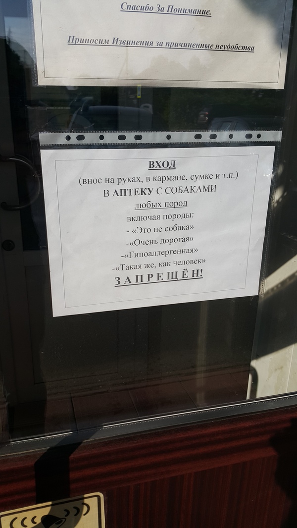 ������� ���� �������