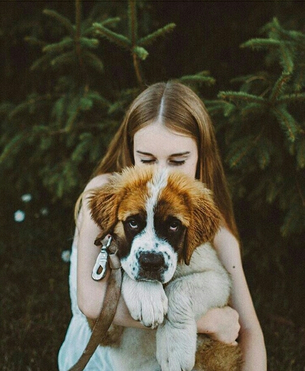 Малыш сенбернара