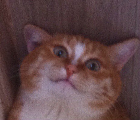 ����� ������,� ������������ �� ������ �����-��������� )