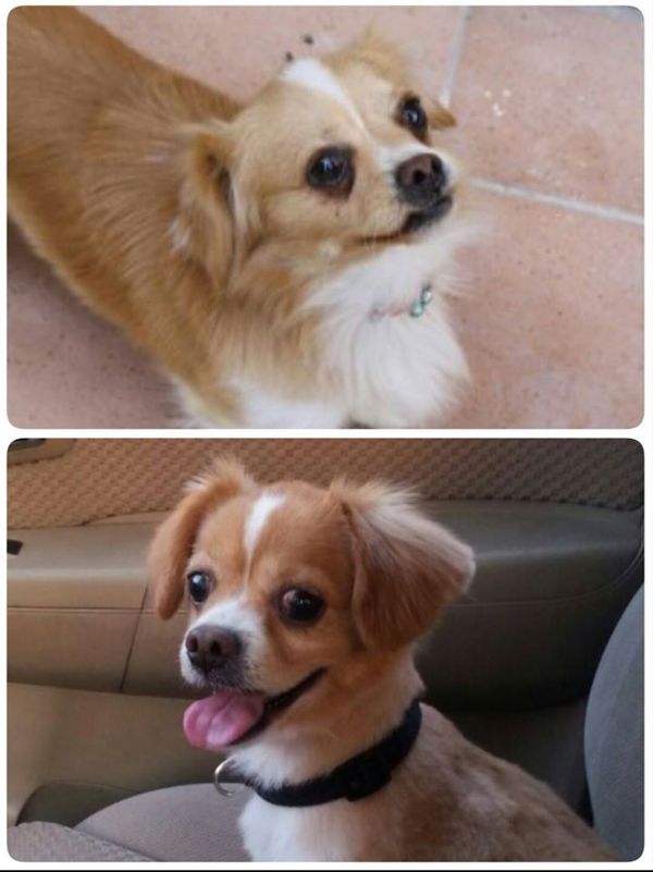 ���� - �����