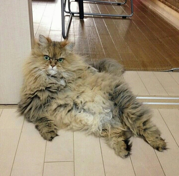 Ты ничего не хочешь мне сказать?