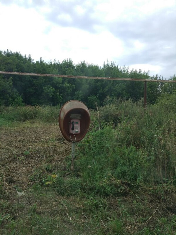 ���� �� ��������� ������� �� �������