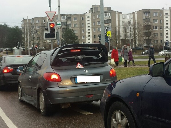 ����� ������ ���������