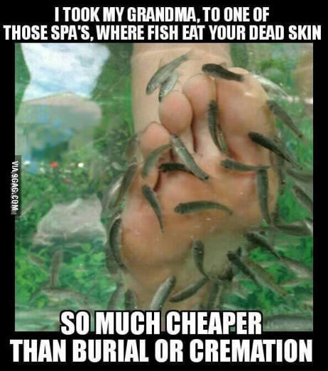 ������� ������� �����.