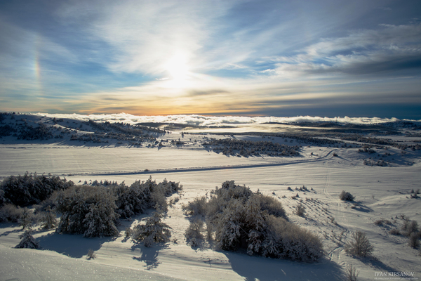 Winter Crimea - Forest, Fog, Clouds, The mountains, Snow, Winter, Photo, My, Longpost, cat