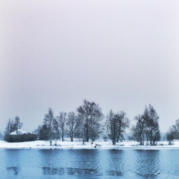 Winter photo - Tree, Lake, Sky, Snow, My, Winter